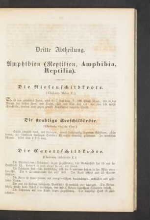 Dritte Abtheilung. Amphibien (Reptilien, Amphibia, Reptilia).