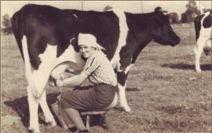 Melken auf der Weide