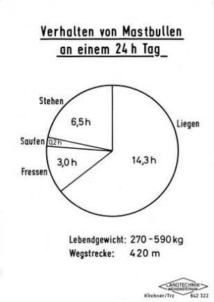 Verhalten von Mastbullen an einem 24 h Tag