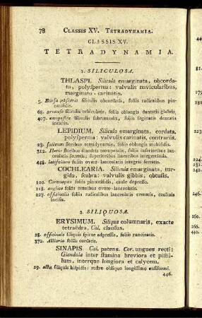 Classis XV. Tetradynamia.
