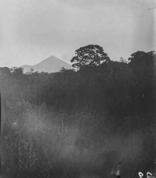 Karisimbi : Die Vulkan Karisimbi in der Gruppe der Virunga-Vulkane erhebt sich im Hintergrund. Im Vordergrund ist die Vegetation des Vulkangebietes erkennbar