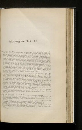 Erklärung von Tafel VI.