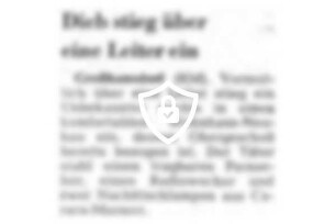 Dieb stieg über eine Leiter ein