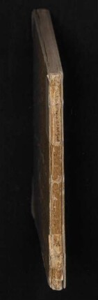 Rücken