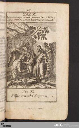 Jesus erwecket Lazarum.