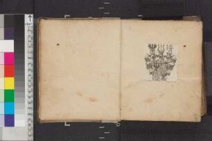 Einträge und Illustrationen Bl. 8 - 50