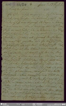 Eigenh. Brief von August Wilhelm von Schlegel an Ludwig Tieck, Jena, 17.09.1801
