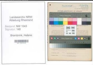 Entnazifizierung Helene Brambrink , geb. 10.05.1922 (Buerogehilfin)