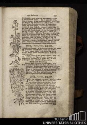 Cap. 186. Fellriß, Dens Leonis.