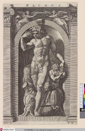 Bachus