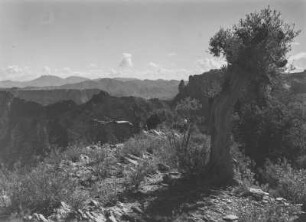 Hochland Eritreas : Berghänge im Hochland Eritreas