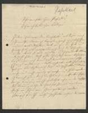 Brief von Justus Karl Haßkarl an David Heinrich Hoppe