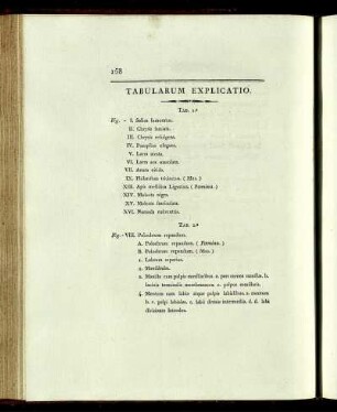 TABULARUM EXPLICATIO.
