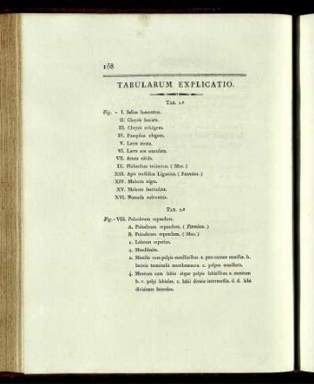TABULARUM EXPLICATIO.