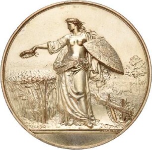 Große Preismedaille der Deutschen Landwirtschafts-Gesellschaft o.J (ca. 1887)