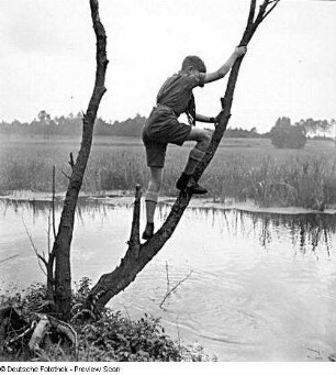 Pfadfinder beim Erklimmen eines Baumstammes