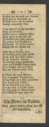 11. Die Sonne im Trüben