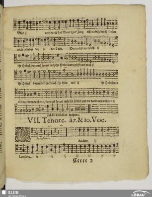 VII. Laudate Dominum omnes gentes