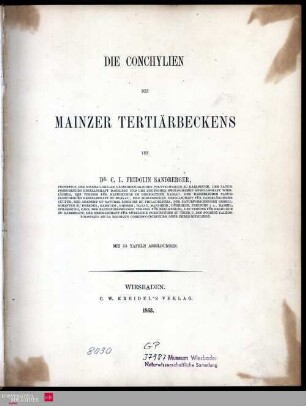 Text: Die Conchylien des Mainzer Tertiärbeckens