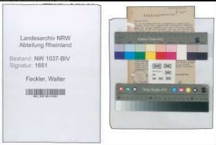 Entnazifizierung Walter Feckler , geb. 23.09.1913 (Angestellter)