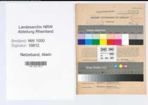 Entnazifizierung Alwin Netzeband, geb. 21.02.1906 (Exportleiter)