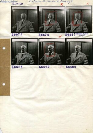 Portraitserie Gerhard Domagk
