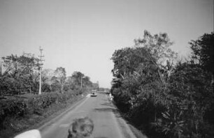Reisefotos. Landstraße. Blick von einem Fahrzeug (vielleicht in Mexiko)