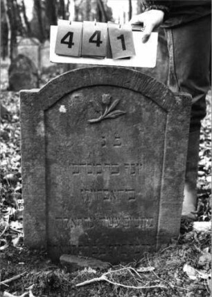 Grabstein 441 (Index: 99752777) Material: Sandstein Zustand: gut, Stele eingesunken Maße HxBxT: 75x56x8 cm Beschreibung: Stele, eingezogener Segmenbogenabschluß, Schriftfeld eingetieft Symbolik: Tulpe: Grabstein 441