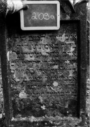 Grabstein 209 [Nir S. 149 Nr. 14.27]: Grabstein 209 (Detailaufnahme) [Nir S. 149 Nr. 14.27]