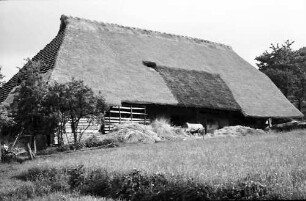 Glottertal: Der strohgedeckte Flammhof