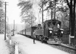 Lößnitzgrund. Kleinbahn Radebeul-Moritzburg bei der Haltestelle Friedewald