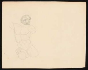 Männlicher Torso, Laokoon: Ansicht