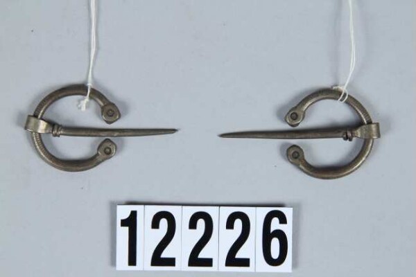 two fibulae (pair)