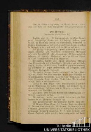 Der Wermut.