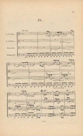 IV. Rasch