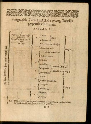 Sciagraphia Iuris Rerum