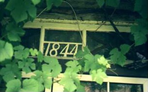 Fliegenfelde 9: Bauernhaus, Fachwerkbau: Detailaufnahme: Oberlicht, darauf Jahreszahl 1844: Kletterpflanzen