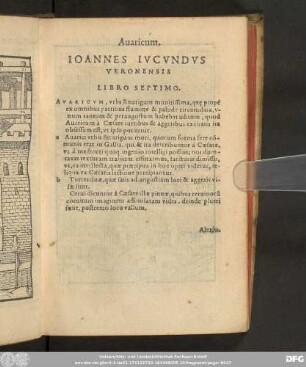Avaricum Ioannes Iucundus Veronensis Libro Septimo.