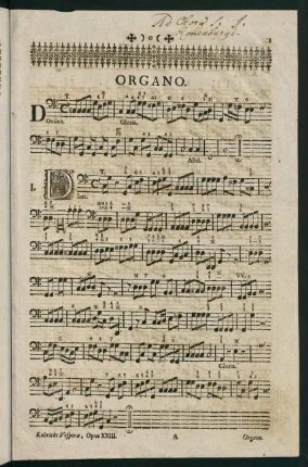 1-39, Organo