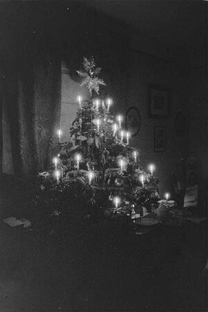 Private Aufnahmen. Weihnachtsbaum
