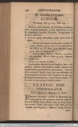 Classis XXIII. Verticillatae