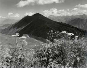 Fellhorn und Nebelhorn