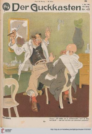 Nr. 45 (7. November 1918)