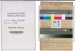 Entnazifizierung Werner Baechler , geb. 31.10.1902 (Kraftfahrer)