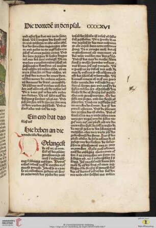 Psalter [Text bricht ab]