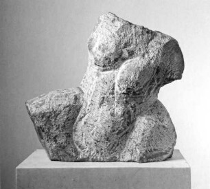 Weiblicher Torso