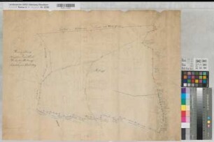 Küstelberg (Medebach) Glindfeld (Medebach) königlicher Privatwalddistrikt (Schutzbezirk Küstelberg und Glindfeld) Blatt 1 Hillekopf ca 1820-1830 ca 1 : 1250 54 x 73 Zeichnung KSA Nr. 584a