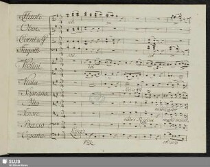 Salve Regina