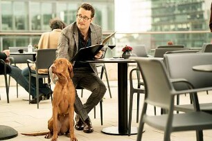 Wuff - Folge dem Hund