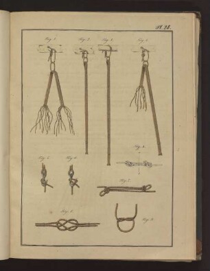 Pl. 28. Fig. 1. bis Fig. 9., Fig. A.